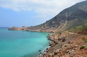trips to Socotra 
