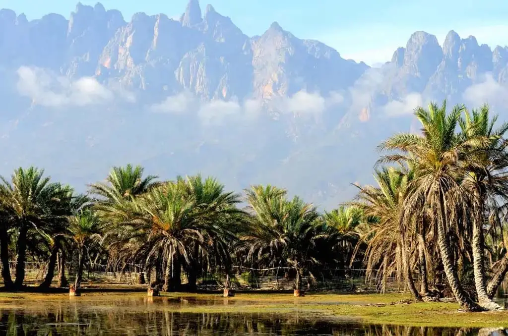 Scenic view of Socotra Valley