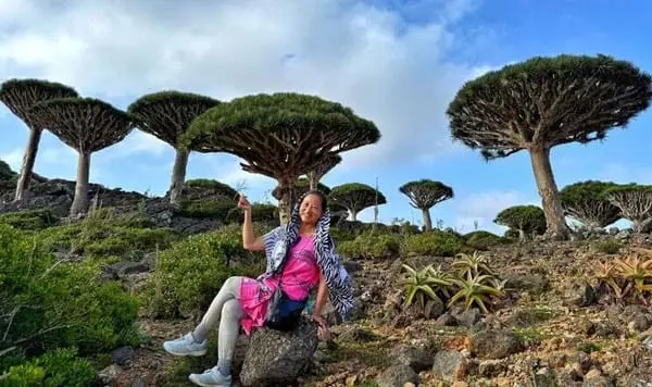 Visitor by Dragon Blood Tree on Socotra Island