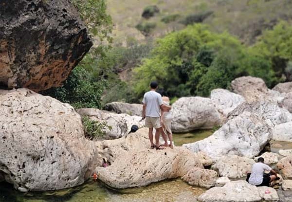 5-Day Socotra Island Tour highlights including beaches, lagoons and unique landscapes